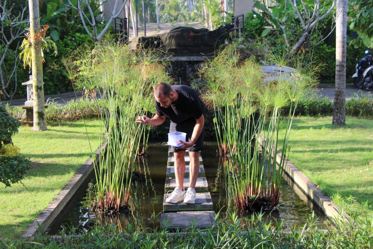 Bali Hai Island Resort Pekutatan  Luaran gambar